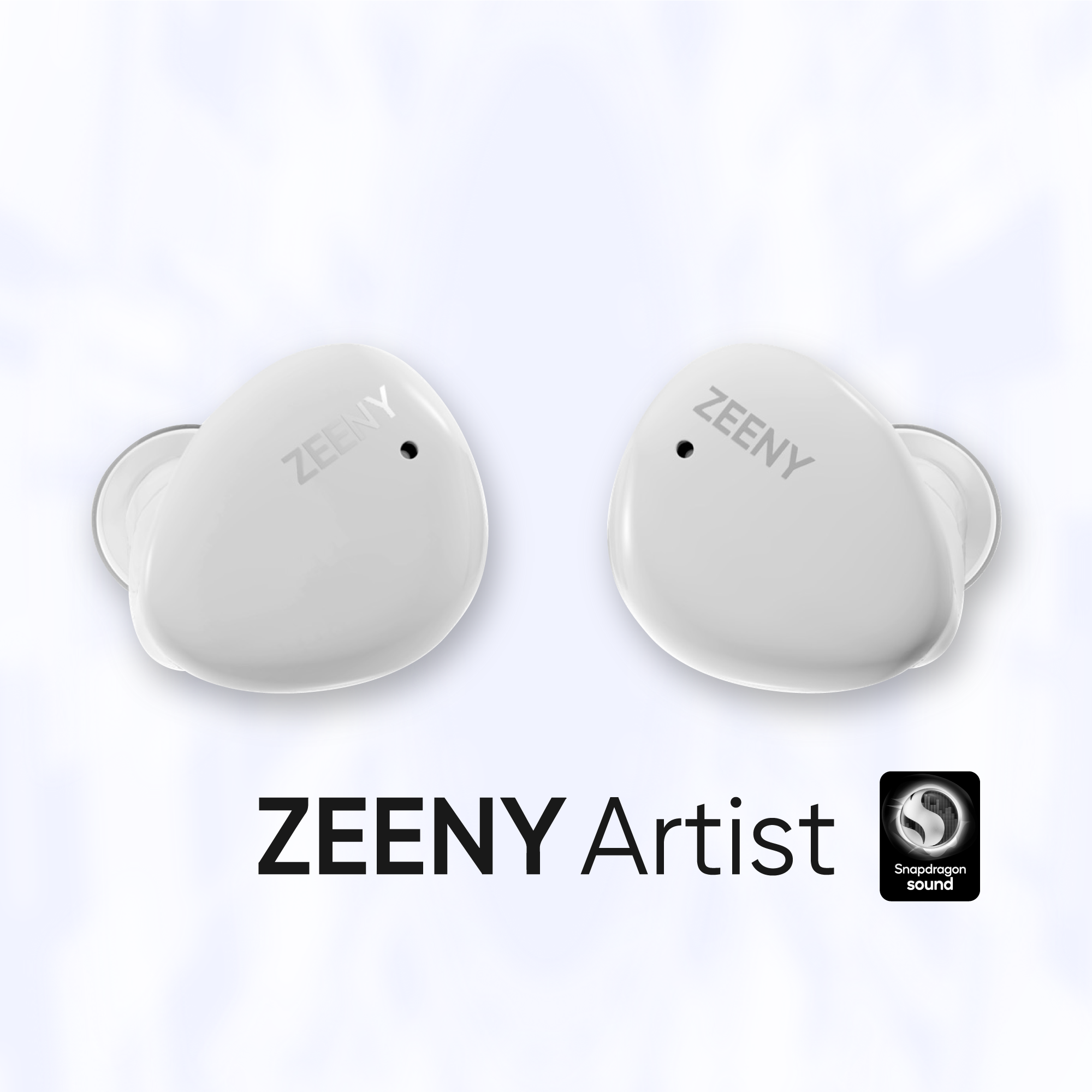 【Special Edition第二弾】Zeeny Artist | Zeeny T Box | ハイレゾ完全 