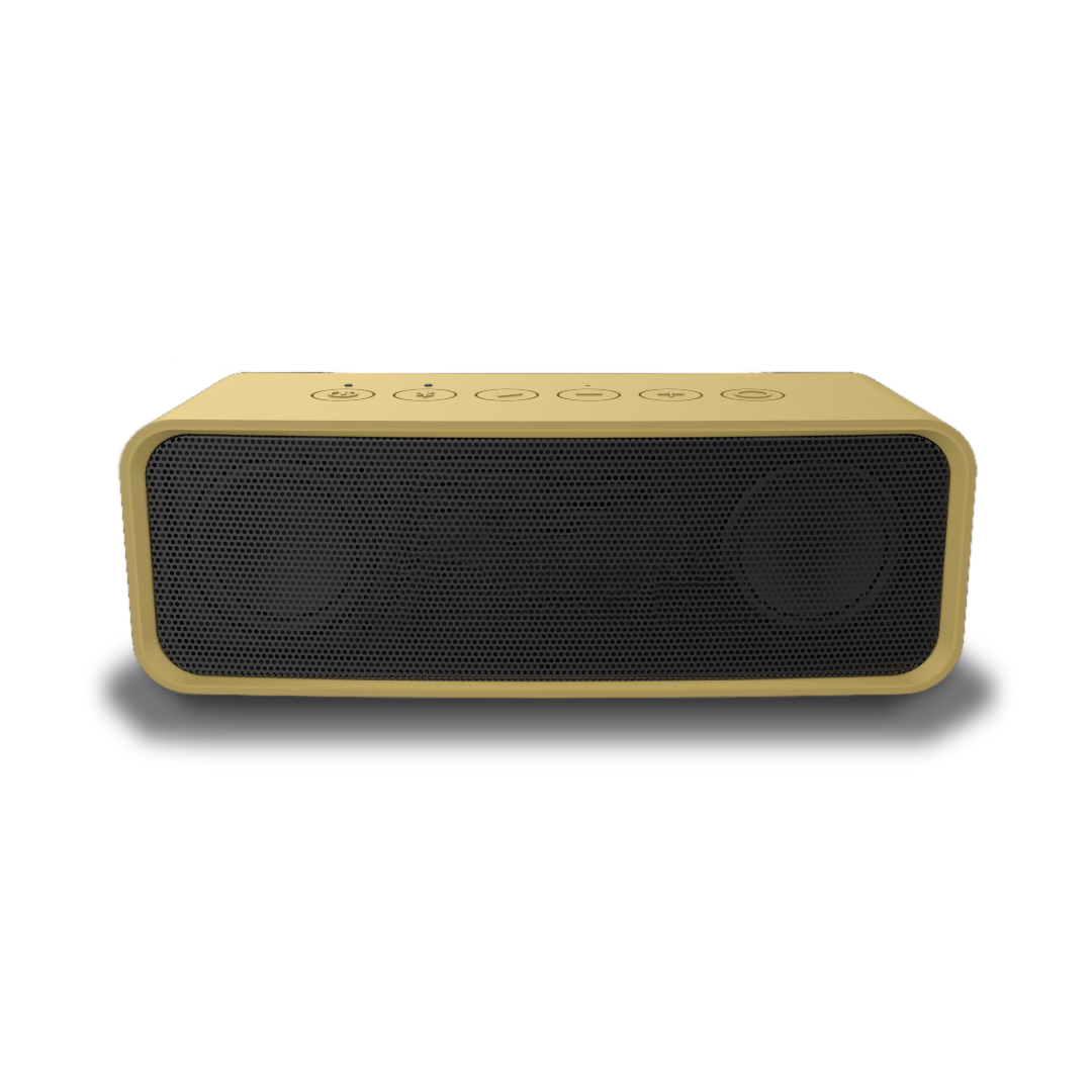スライド画像
