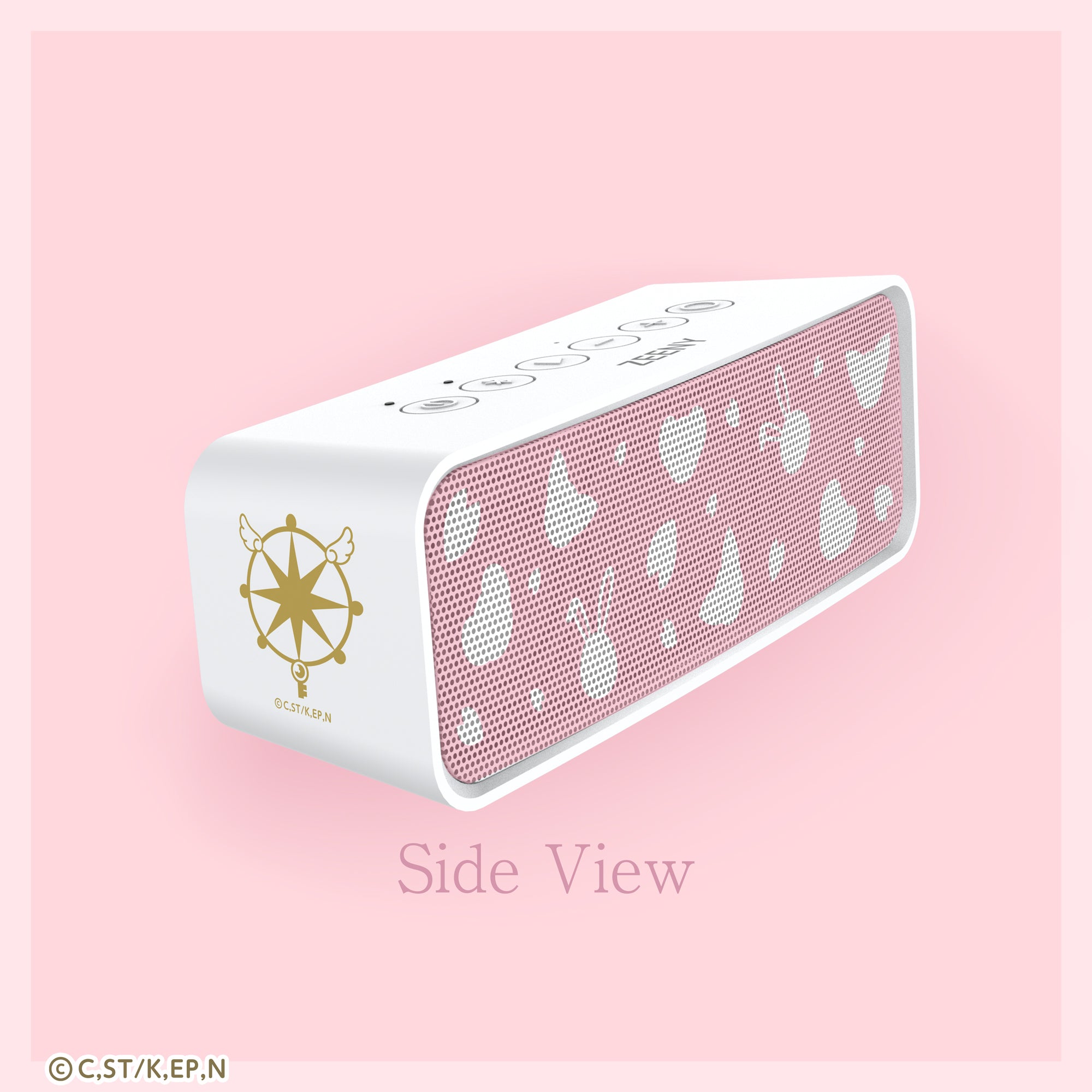 スライド画像